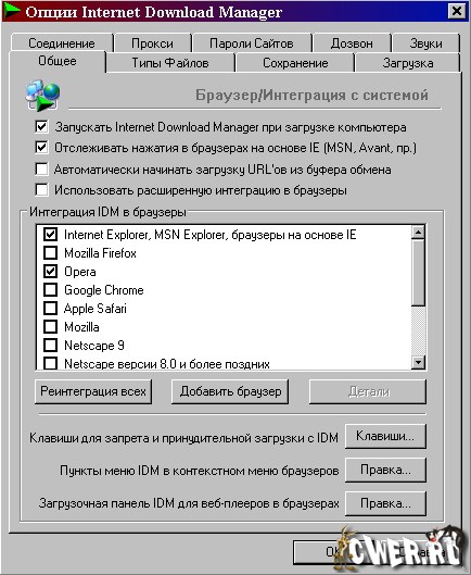 nternet Download Manager