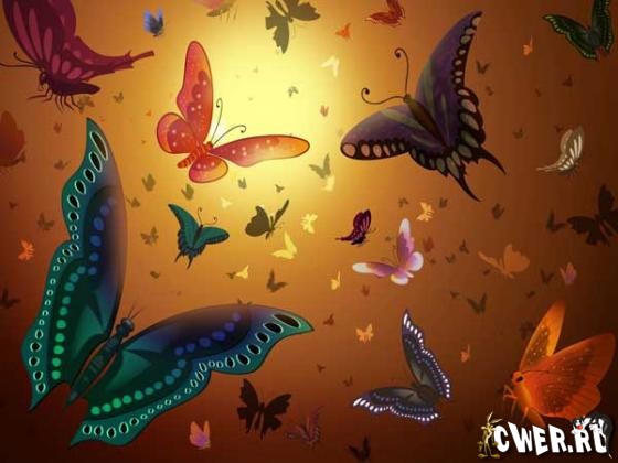 Butterflies Wallpapers