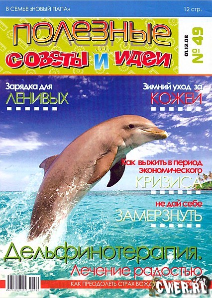 Полезные советы и идеи №49 (декабрь) 2008