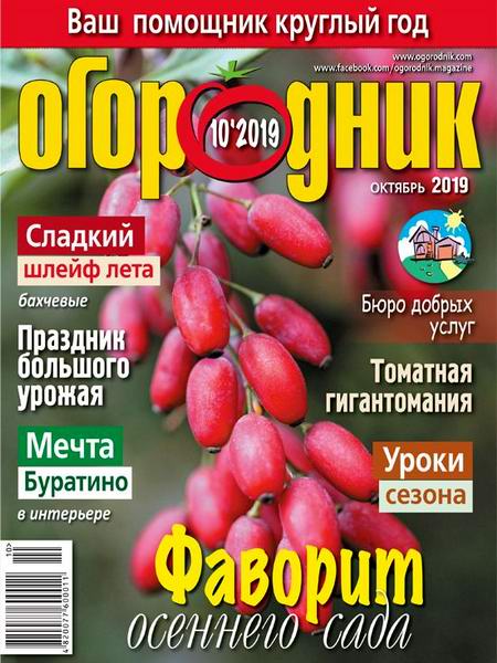 Огородник №10 октябрь 2019