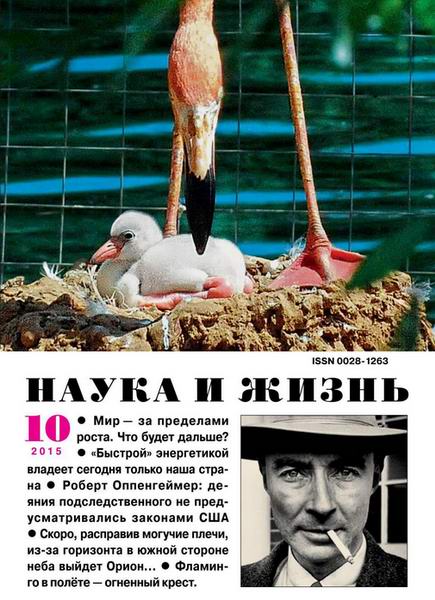 Наука и жизнь №10 октябрь 2015