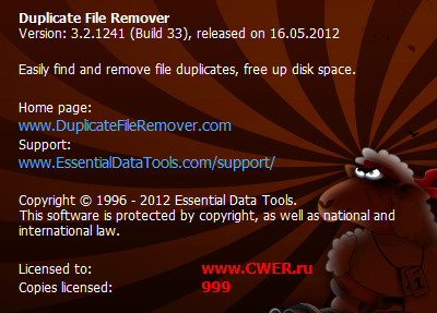 Duplicate File Remover