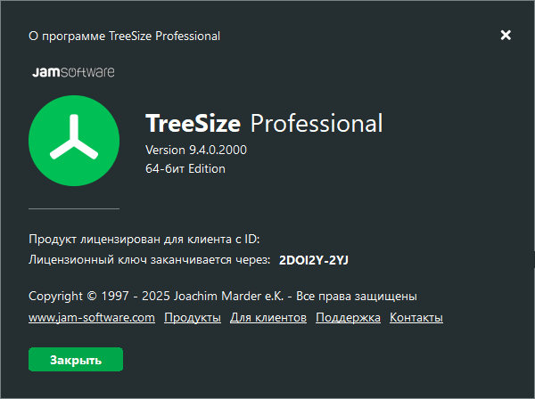 TreeSize Professional