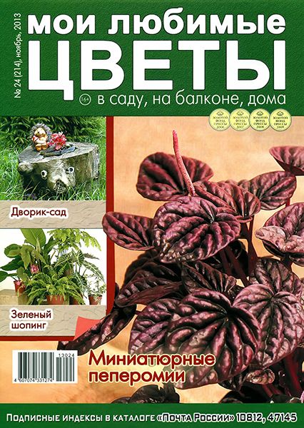 Мои любимые цветы №24 2013