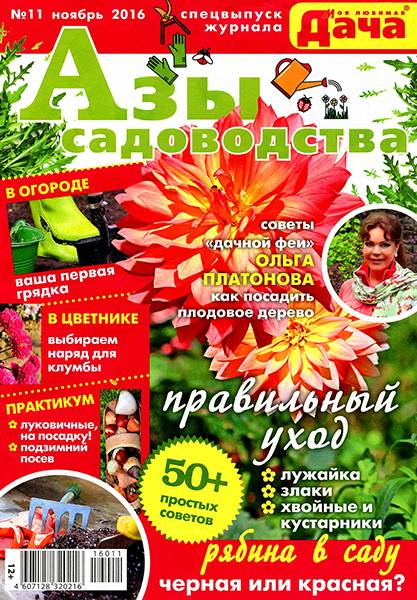 Моя любимая дача. Спецвыпуск №11 2016