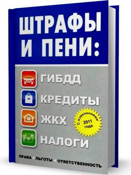 Штрафы и пени 2011