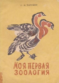 Моя первая зоология. Книжка-раскраска