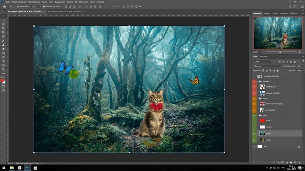 Фотошоп 2020 с нуля. Практика Photoshop1