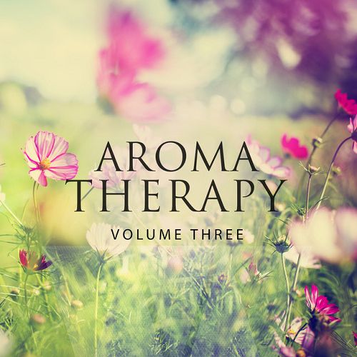 Aromatherapy Vol.3: Best Of Calm Electronic Music