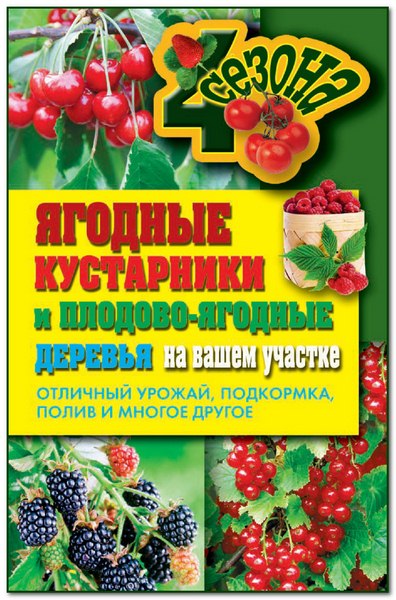 Ягодные кустарники и плодово-ягодные деревья на вашем участке