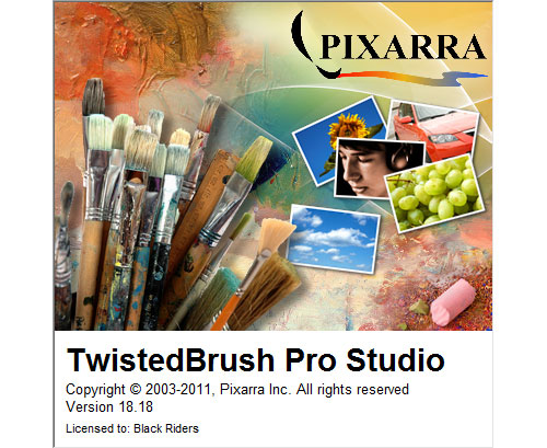 TwistedBrush Pro Studio