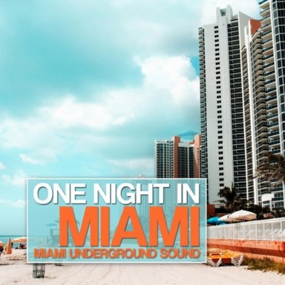 скачать One Night in Miami: Miami Underground Sound (2012)