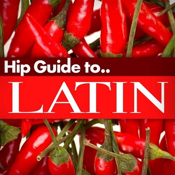 скачать Hip Guide Latin (2012)