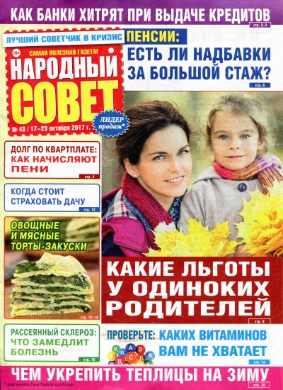 Народный совет 43 2017