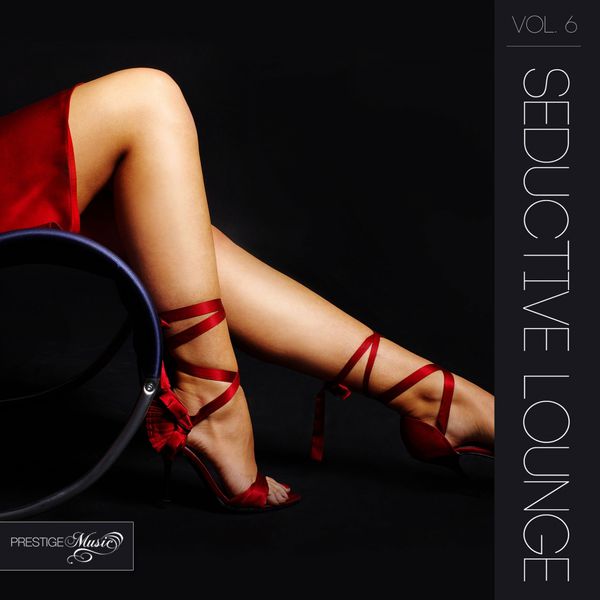 Seductive Lounge, Vol. 6