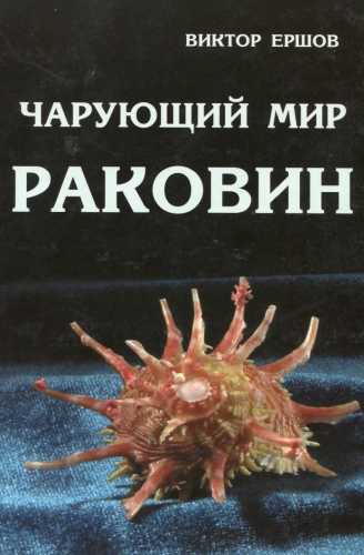 Чарующий мир раковин