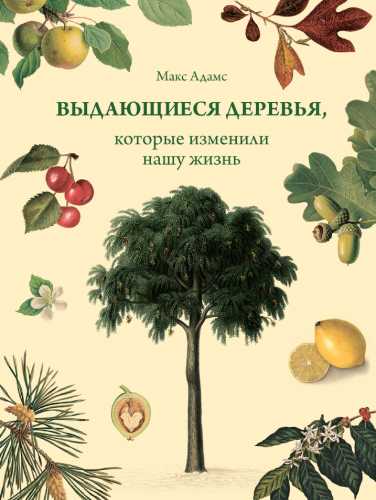 Выдающиеся деревья, которые изменили нашу жизнь