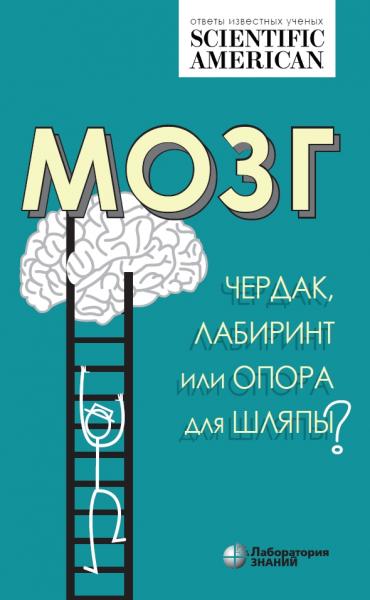 Мозг: чердак, лабиринт или опора для шляпы?