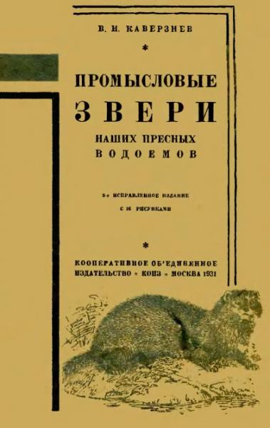 В.Н. Каверзнев. Промысловые звери наших пресных водоемов