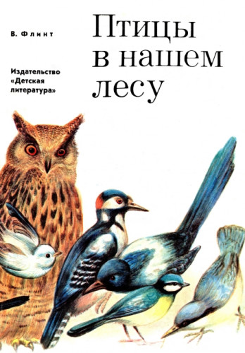 Птицы в нашем лесу