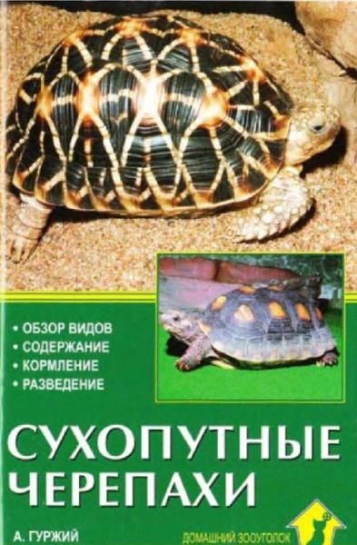 А.Н. Гуржий. Сухопутные черепахи