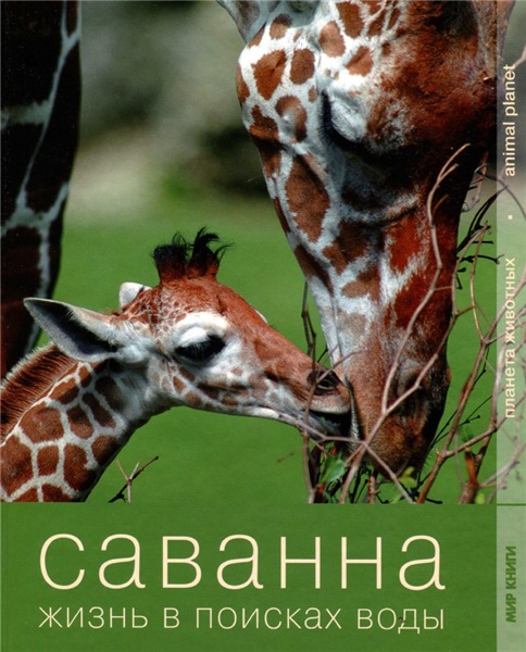 Саванна. Жизнь в поисках воды