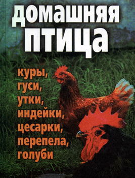 О. Морозова. Домашняя птица: куры, гуси, утки, индейки, цесарки, перепела и голуби