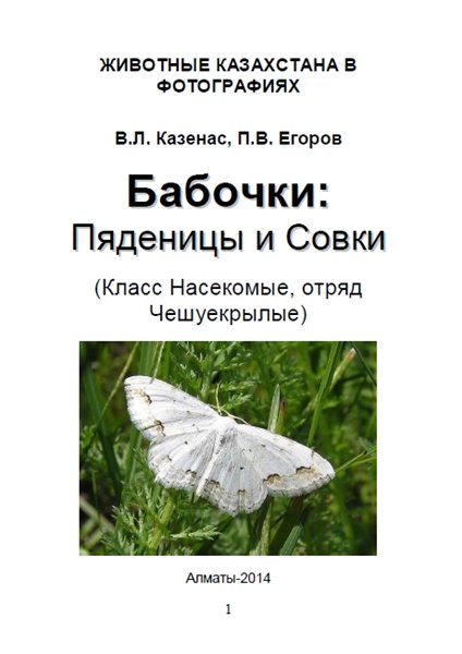 В.Л. Казенас. Бабочки: Пяденицы и Совки