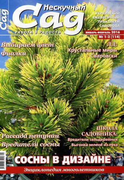 Нескучный сад №1-2 (январь-февраль 2016). Сосны в дизайне