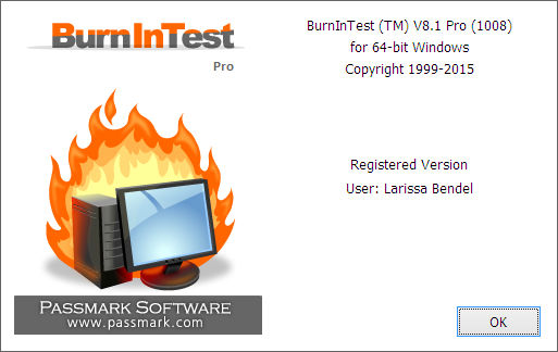 PassMark BurnInTest Pro