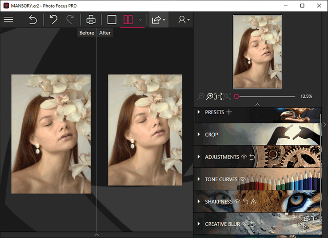 InPixio Photo Focus Pro 4