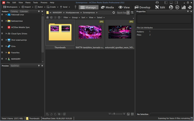 ACDSee Photo Studio Professional 2022 15.0 Build 1917