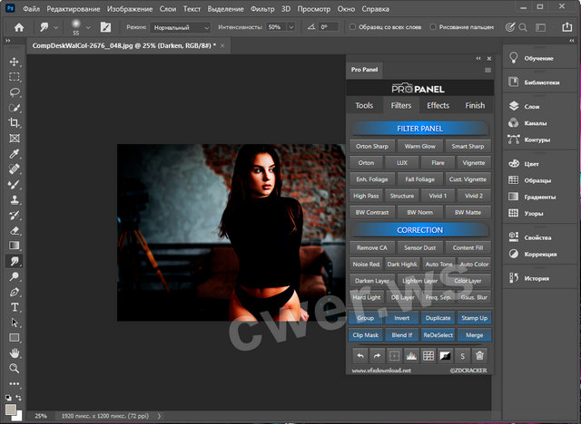 Pro Panel 1.5.2 for Photoshop