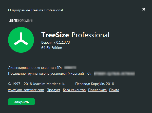 TreeSize Professional 7.0.1.1373 + Rus