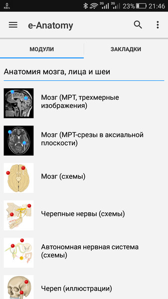 e-Anatomy1