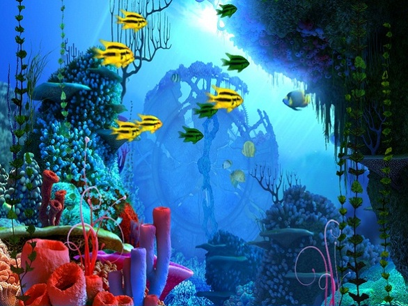 Coral Clock 3D Screensaver