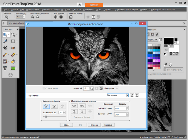 Corel PaintShop Pro