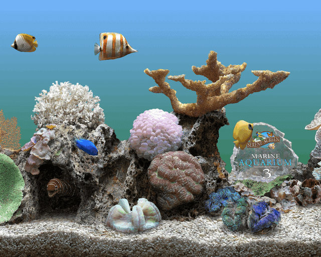 SereneScreen Marine Aquarium