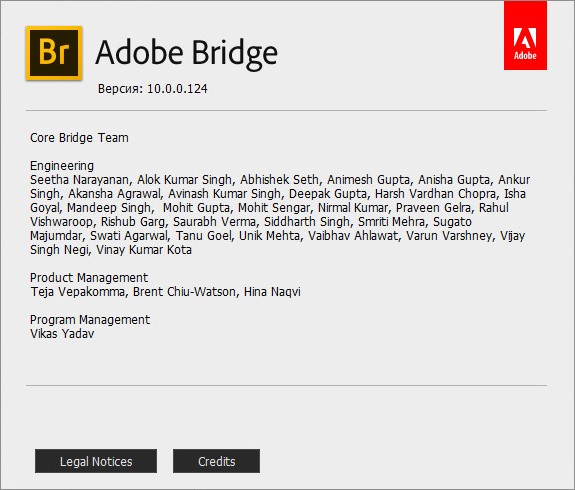 Adobe Bridge 2020