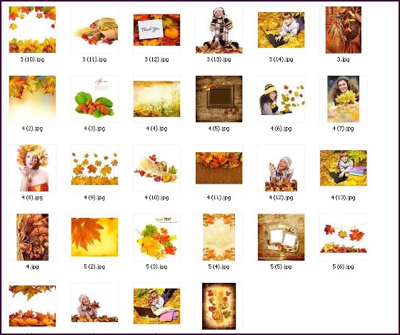 Stock Photo. Autumn collection