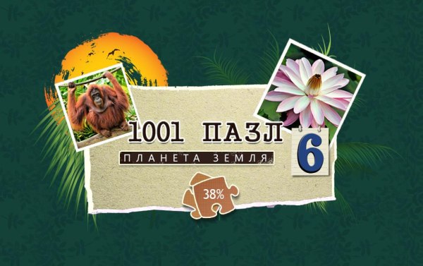 1001 пазл. Планета Земля 6