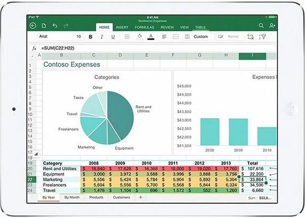 Office iPad Exel
