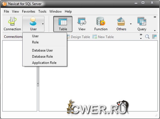 Navicat for SQL Server 10