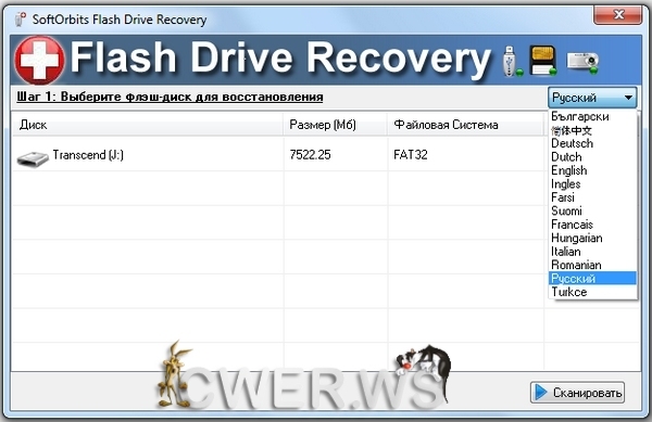 Flash Drive Recovery