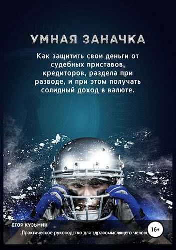 Егор Кузьмин. Умная заначка. Как защитить свои деньги от судебных приставов, кредиторов, раздела при разводе, и при этом получать солидный доход в валюте.